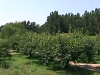 跟我去旅游之天胜园农业生态观光园