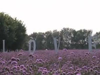 跟我去旅游之水高庄园