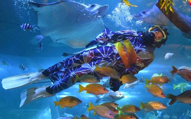 水族馆职员穿夏季和服潜水喂鱼网页截图 