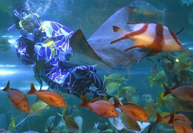 水族馆职员穿夏季和服潜水喂鱼（网页截图）