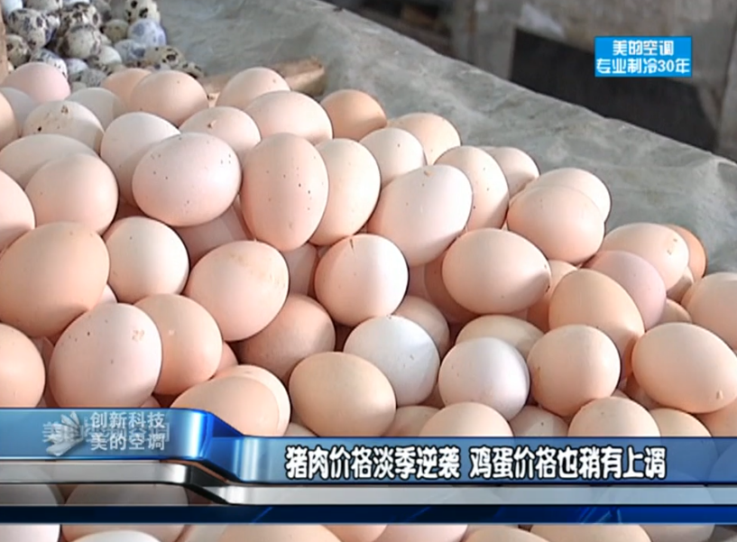 猪肉价格淡季逆袭 鸡蛋价格稍有上调