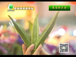 10月12日美食养生堂 