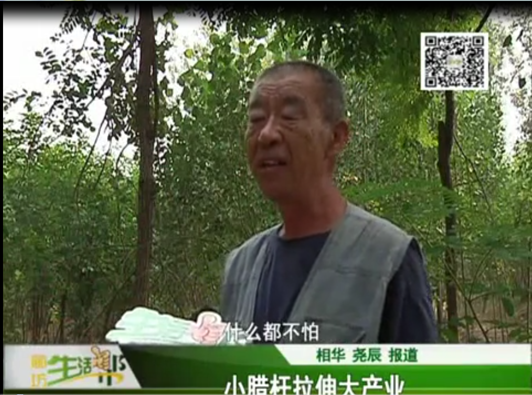 小腊杆拉伸大产业