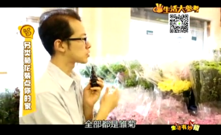 另类菊花装点你的家~