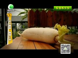 12月16日美食养生堂