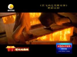 幸福影院 01月20日