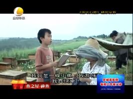 幸福影院 01月29日