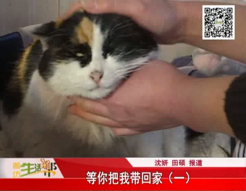 等你把我带回家（一）