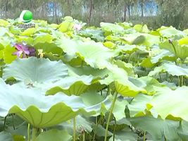 乐游天下 20160822