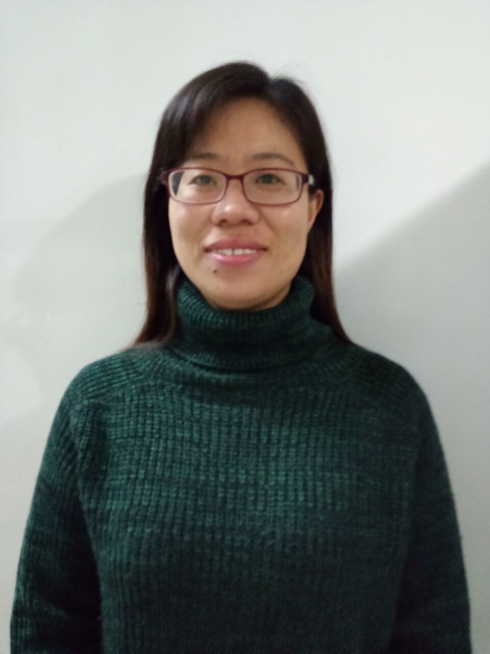 文安县—武智双