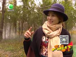 乐游天下 20161028