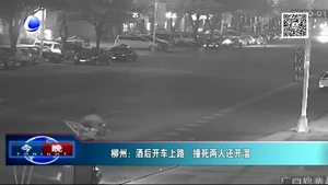 酒后开车上路 撞死两人还开溜
