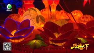 乐游天下 20161230