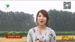 乐游天下 20170113