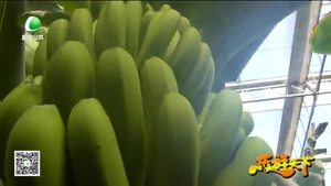 乐游天下 20170217