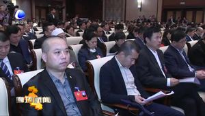 （视频版）政协廊坊市第七届委员会第一次会议开幕