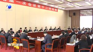 李波参加市政协七届一次会议第十二组讨论