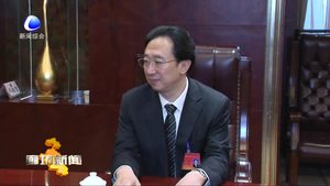 陈平参加市七届人大一次会议大城代表团和解放军武警代表团审议