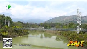 乐游天下 20170331