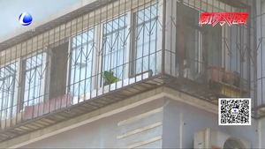 空中坠物业主车被砸 万元修理费到底该谁出