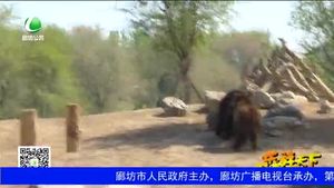 乐游天下 20170512