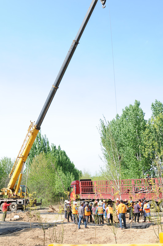 廊坊园林局加快绿化美化工程 喜迎5•18