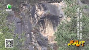 乐游天下 20170609