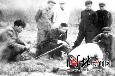 【塞罕坝人物志】王尚海：塞罕坝上“一棵松”