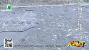 乐游天下 20170804