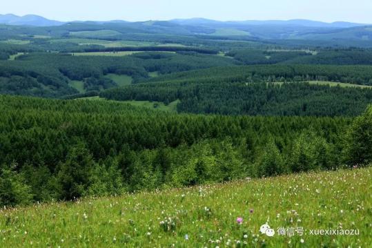 习总牵挂的塞罕坝，你去过吗？小组刚去过！