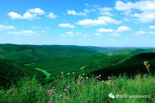 习总牵挂的塞罕坝，你去过吗？小组刚去过！