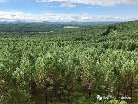 习总牵挂的塞罕坝，你去过吗？小组刚去过！