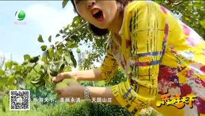 乐游天下 20170901