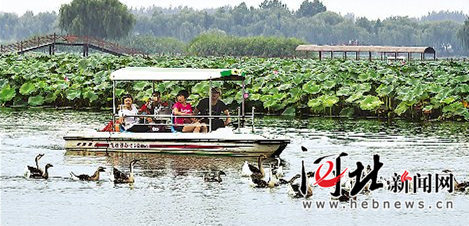 【砥砺奋进的五年·瞰河北③】大地明珠