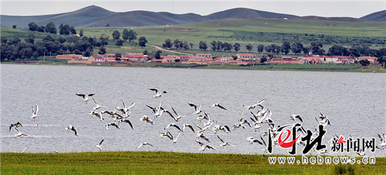 【砥砺奋进的五年·瞰河北③】大地明珠