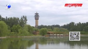 行进中的五年：城市在发展 绿色在延伸