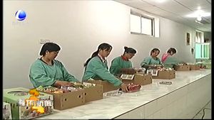 “9.26”农交会综述：农交会引领廊坊都市型现代农业开启新空间