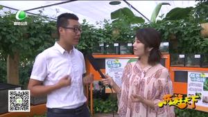 乐游天下 20171006