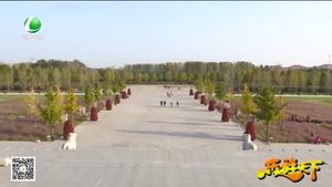 乐游天下 20171124