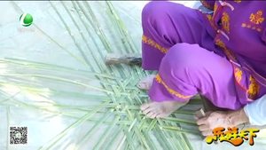 乐游天下 20171201