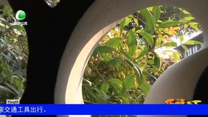 乐游天下 20180112