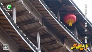 乐游天下 20180126