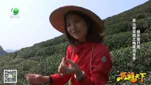 乐游天下 20180406