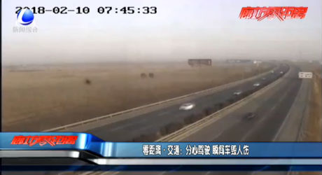 交通：分心驾驶 瞬间车毁人伤