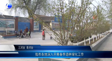 我市各地深入开展春季造林绿化工作
