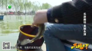 乐游天下 20180420