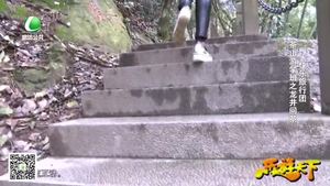 乐游天下 20180427