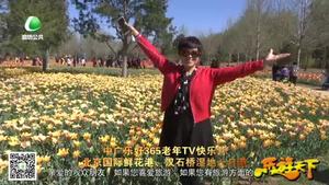 乐游天下 20180504