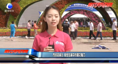 市民逛展会 感受发展中的廊坊魅力