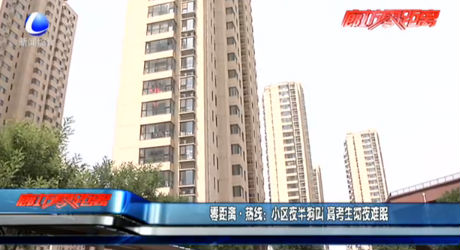 小区夜半狗叫 高考生彻夜难眠